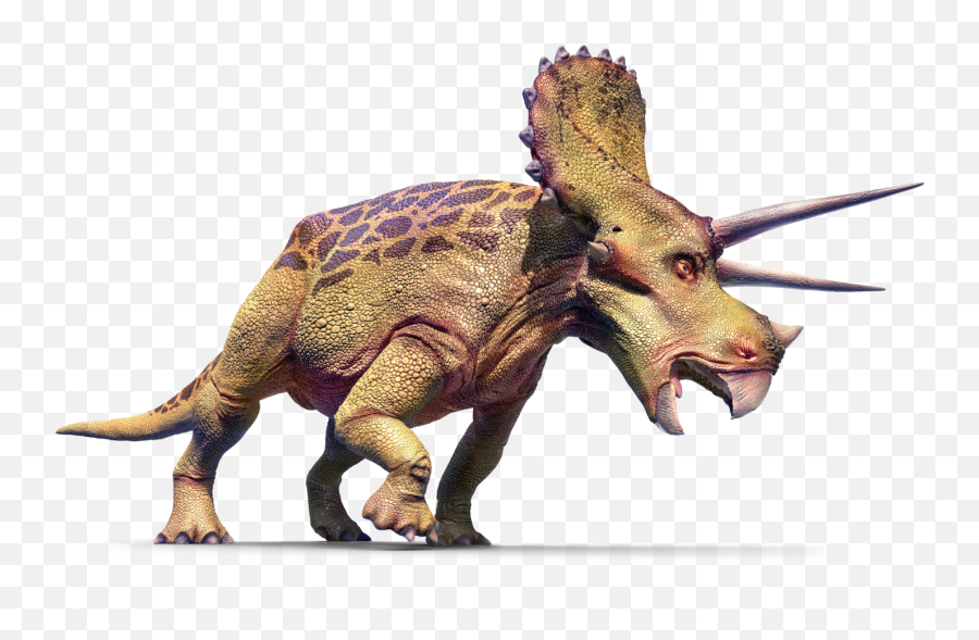 Free Clipart Hd Hq Png Image - Knowledge Encyclopedia Dinosaur Book,Triceratops Png
