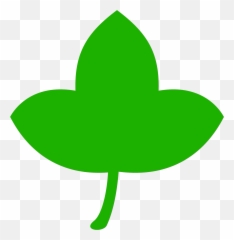 Green Leaf Icon Clipart - Lovely png