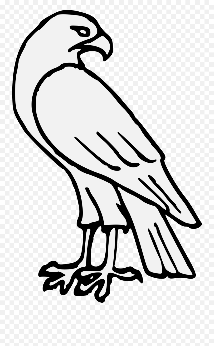 Download Falcon Clip Black And White Easy - Easy Hawk Easy Drawing Of A Hawk Png,Line Drawing Png