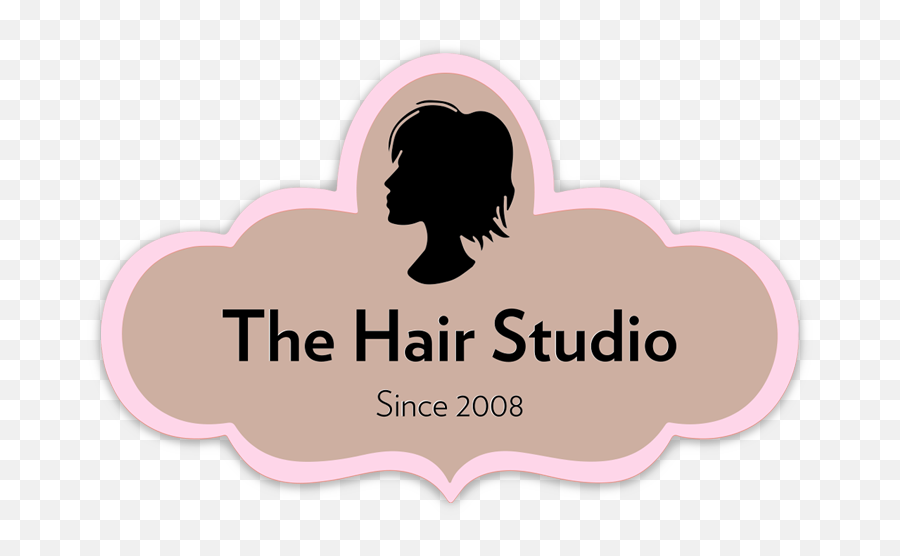 The Hair Studio Salon In Massachusetts - Food Ingredients Europe Png,Salon Png