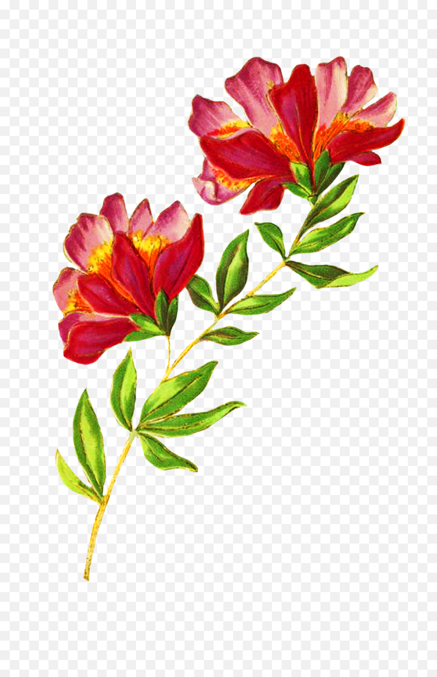 Digital Scrapbooking Flowers - Beautiful Flowers Rose Images Hd Free Download Png,Flowers Png