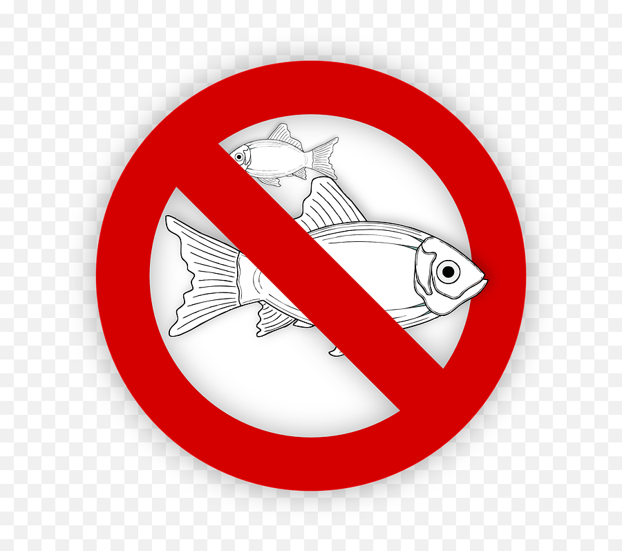 Fish Allergy Food No - Free Vector Graphic On Pixabay Angel Tube Station Png,Fish Icon Png