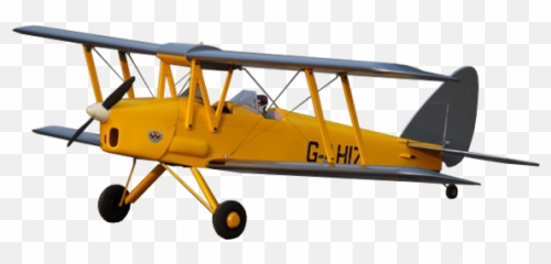 Skyraccoon Png