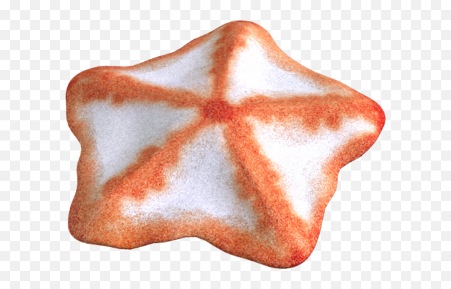 Png Background - Portable Network Graphics,Starfish Transparent