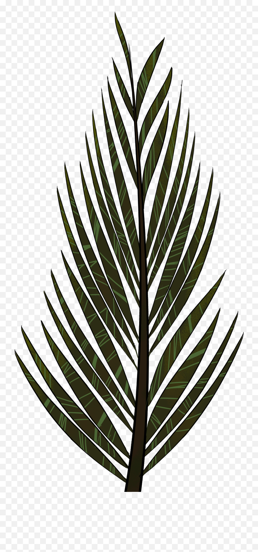 Rain Plants And Trees Clipart Png 5 Station - Pine Tree Leaf Clipart,Palm Tree Clip Art Png