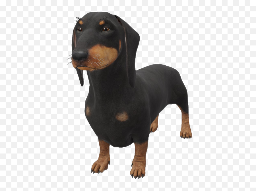Google 3d Animals U0026 Ar Objects Full List Gallery - Dachshund 3d Google  Png,3d Google Icon - free transparent png images 