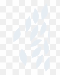 Agribusiness Extra Cigna New Zealand - Language png