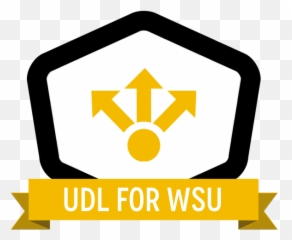 Wichita State University - Badges Credly Best Problem Solver png