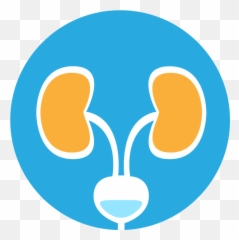 Medicare Recipients And Urology Supplies U2014 Home Care Delivered - Language png