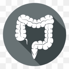 Perforation U2022 Medical Training Tools - Human Organ Icon Png