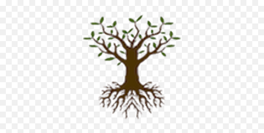 Stephen Ziadie Roothospitality Twitter - Decorative Png,Apple Tree Icon