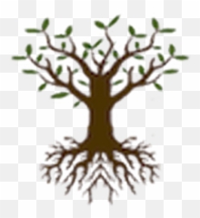 Stephen Ziadie Roothospitality Twitter - Decorative png
