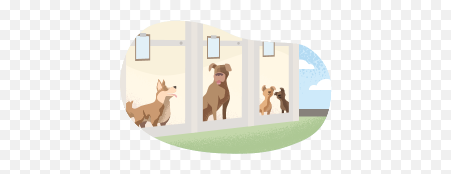 Pet Boarding And Dog Day Care Business Insurance Insureon - Dog Png,Dog Boarding Icon