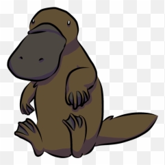 A Platypus - Platypus Cartoon Drawing Png,Platypus Png