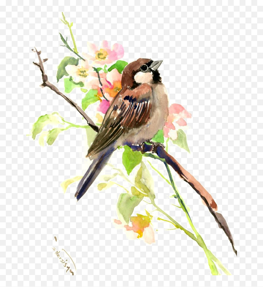 Sparrow Transparent Image - Sparrow Painting Png,Sparrow Png