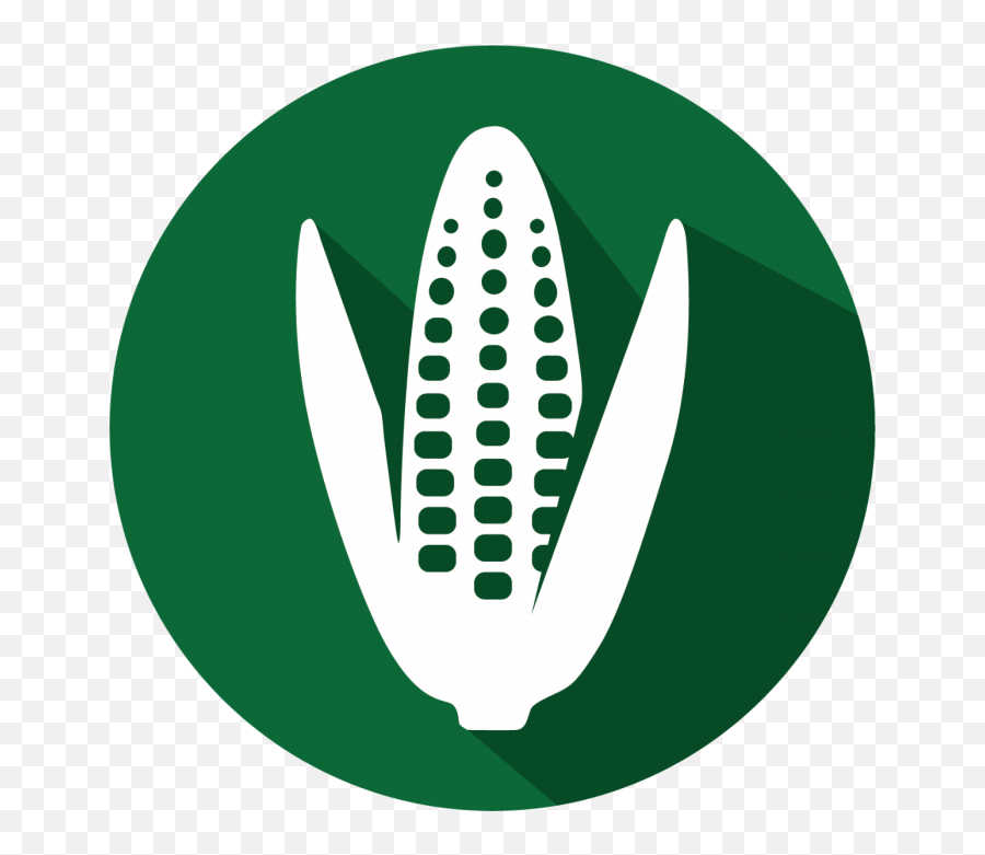 Gmoquant Hr 35s Screen Corn - Corn Symbol Green Png,Corn Transparent