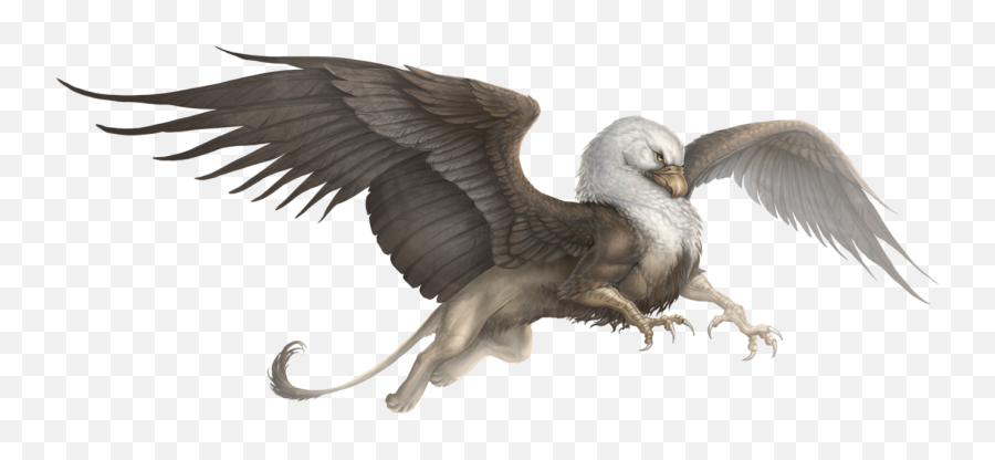 Griffin Png - Griffon Fantasy,Griffin Png