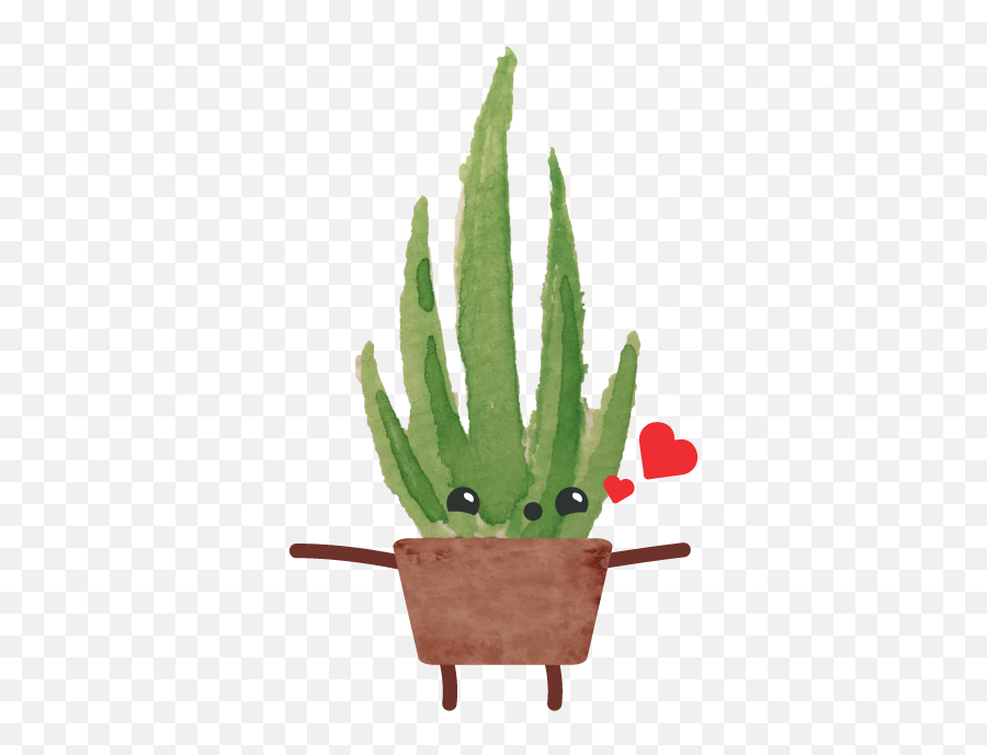 Happy Succulents By Beehub Inc - Cactus Png,Succulent Png
