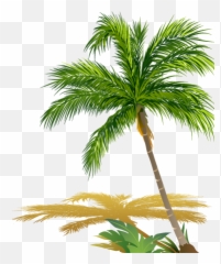 Hd 24 Hours Feat Childhood Memories - Borassus Flabellifer Png,Beach Png