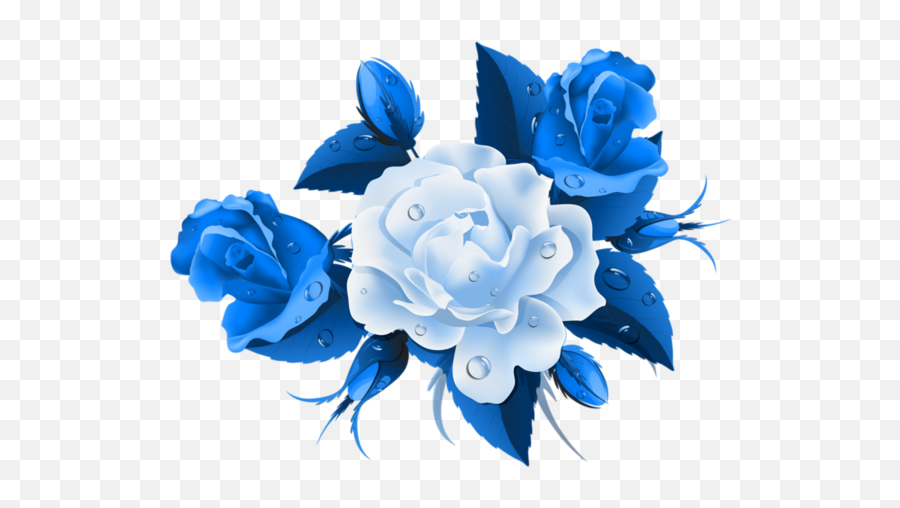 Blue Rose Png 1 Image - Flowers Rose Blue Png,Blue Rose Png