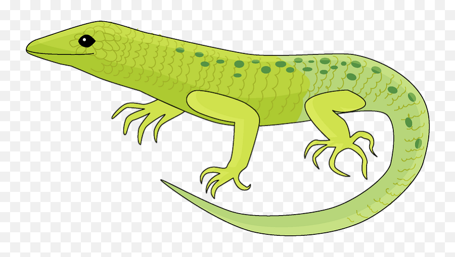 Lizard Clipart Free Download Transparent Png Creazilla - Lizard Clipart,Lizard Png