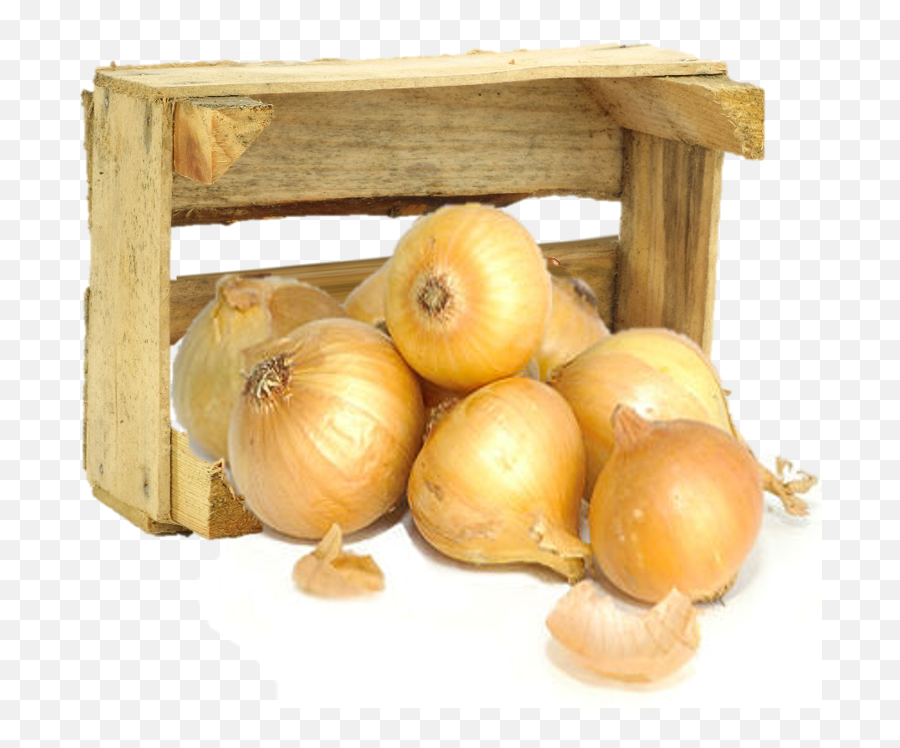 Organic Texas Sweet Onions - Sweet Vidalia Onions Png,Onion Transparent Organic Texas Sweet Onions - Sweet Vidalia Onions Png,Onion Transparent