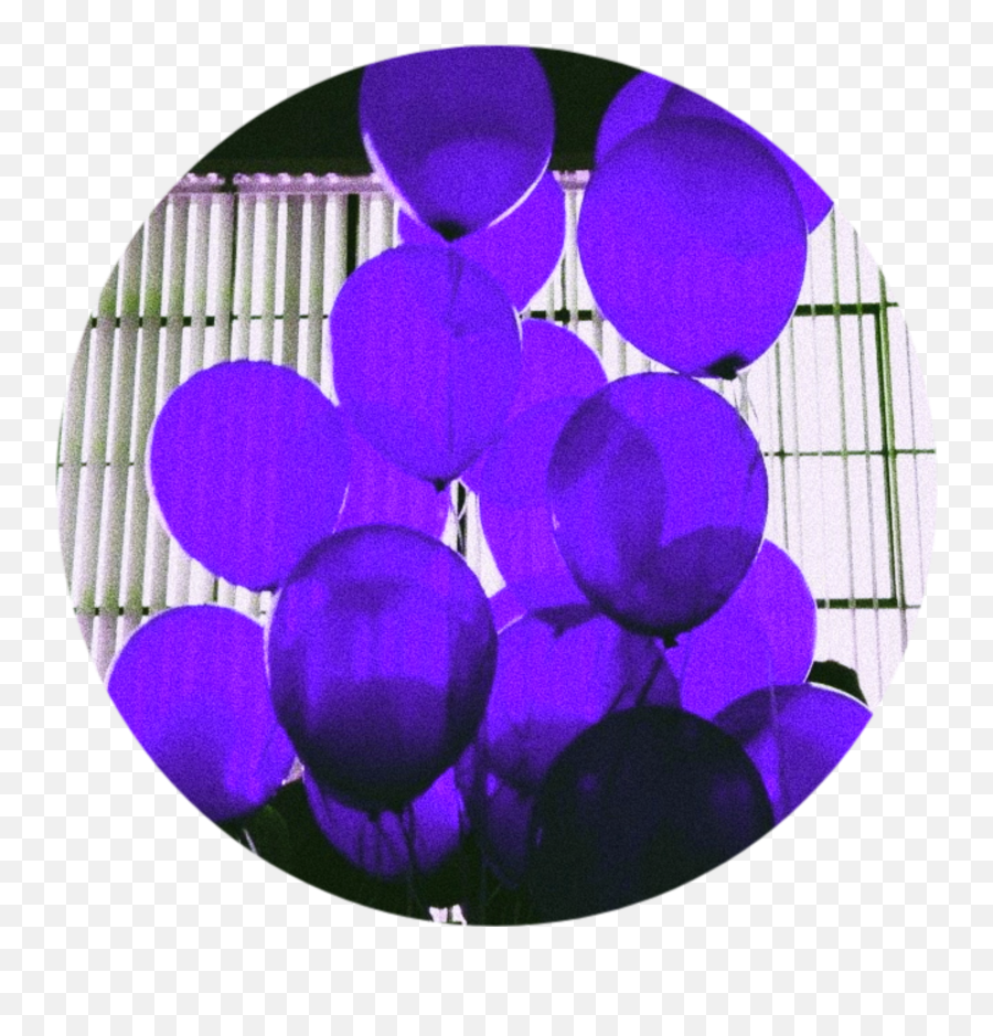 Download Balloons Purple Aesthetic Tumblr Circle Icon Png - Red Aesthetic,Aesthetic Png Tumblr