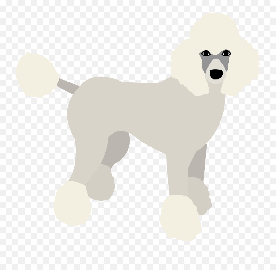 Download Hd Poodle Puppy Dog Birthday Banner Personalized - Standard Poodle Png,Poodle Png