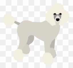 Download Hd Poodle Puppy Dog Birthday Banner Personalized - Standard Poodle Png,Poodle Png