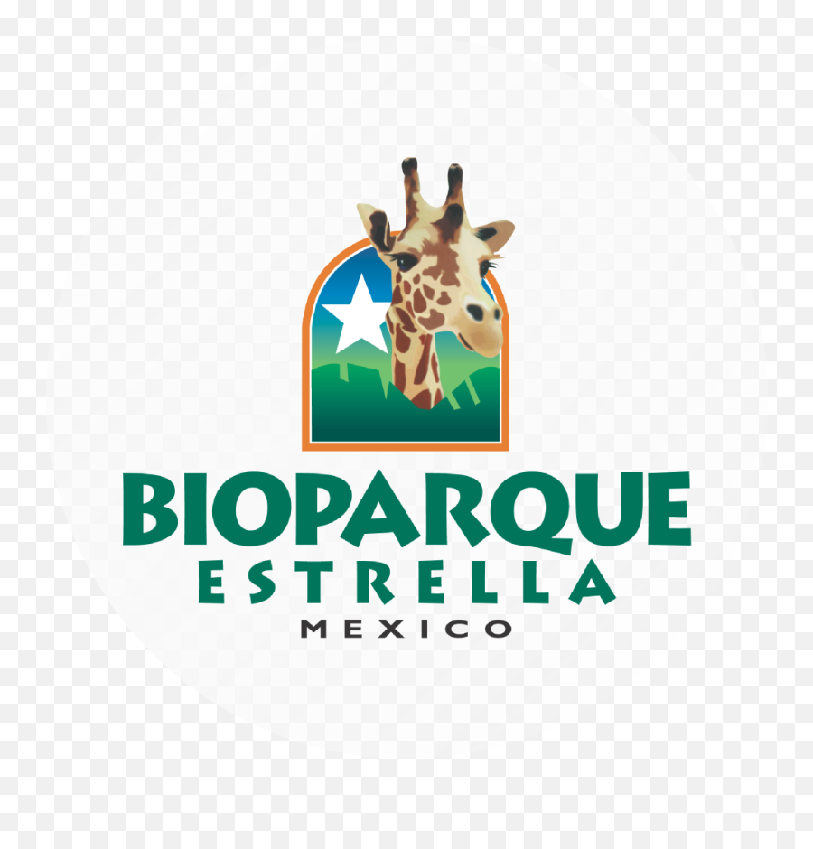 Download Hd Bioparque Estrella Transparent Png Image - Bioparque Estrella,Estrella Png