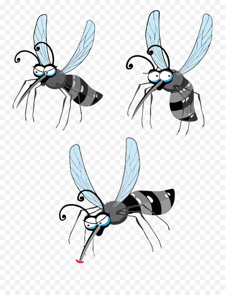 Cartoon Flying Mosquito Png Clipart - Flying Mosquito Clipart,Mosquito Png