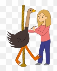 Illustration U2014 Bree Sonntag - Cartoon Png,Ostrich Png