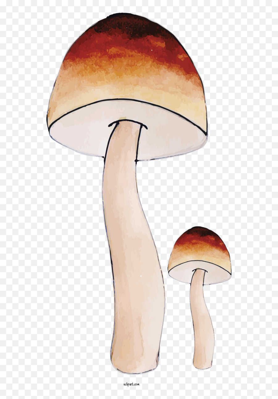 Nature Mushroom Design Table For Autumn - Autumn Clipart Wild Mushroom Png,Mushroom Transparent