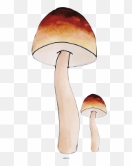Nature Mushroom Design Table For Autumn - Autumn Clipart Wild Mushroom Png,Mushroom Transparent