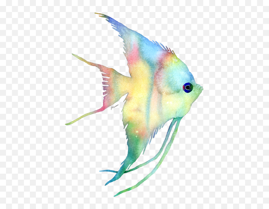 Bleed Area May Not Be Visible - Watercolor Fish Transparent Watercoler Fish Backround Png,Fish Transparent Background