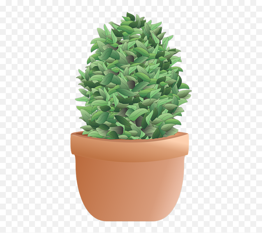 Shrub Bush Plant - Free Image On Pixabay Flowerpot Png,Shrub Transparent Background