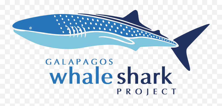 Whale Shark Png - Whale Shark,Whale Shark Png