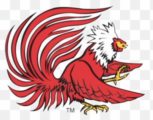 Malcolm Key - Jacksonville State Gamecocks Logo Png,Gamecocks Logo Png