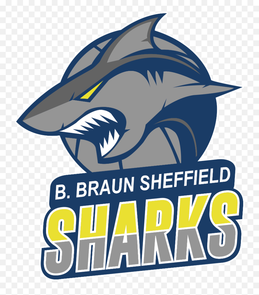 Sheffield Sharks U2013 Official Website Of South Yorkshireu0027s - Sheffield Sharks Logo Png,Shark Logo Png