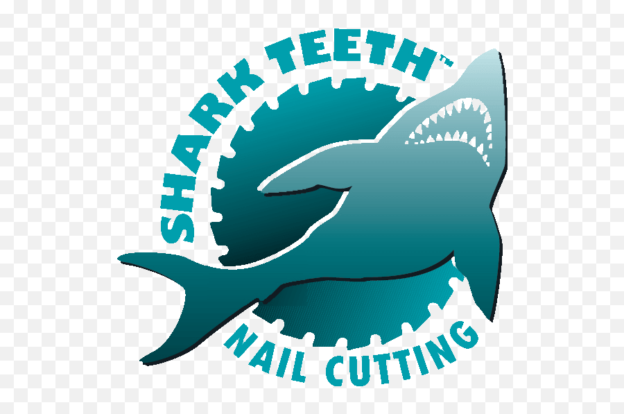 Circular Saw Blades - Recycled Wood Nail Cutting Great White Shark Png,Shark Teeth Png