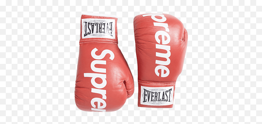 Supreme x Everlast Boxing Gloves (Fall/Winter 2008) #nosply