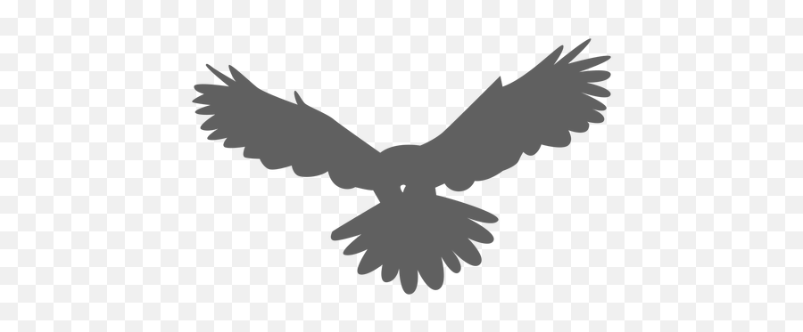 Owl Wing Eagle Silhouette - Transparent Eagle Silhouette Png,Owl Silhouette Png