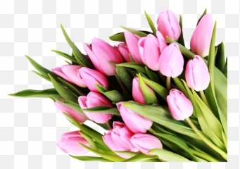 Easter Flowers Bouquet Transparent - Goodbye May Welcome June Png,Flowers Bouquet Png
