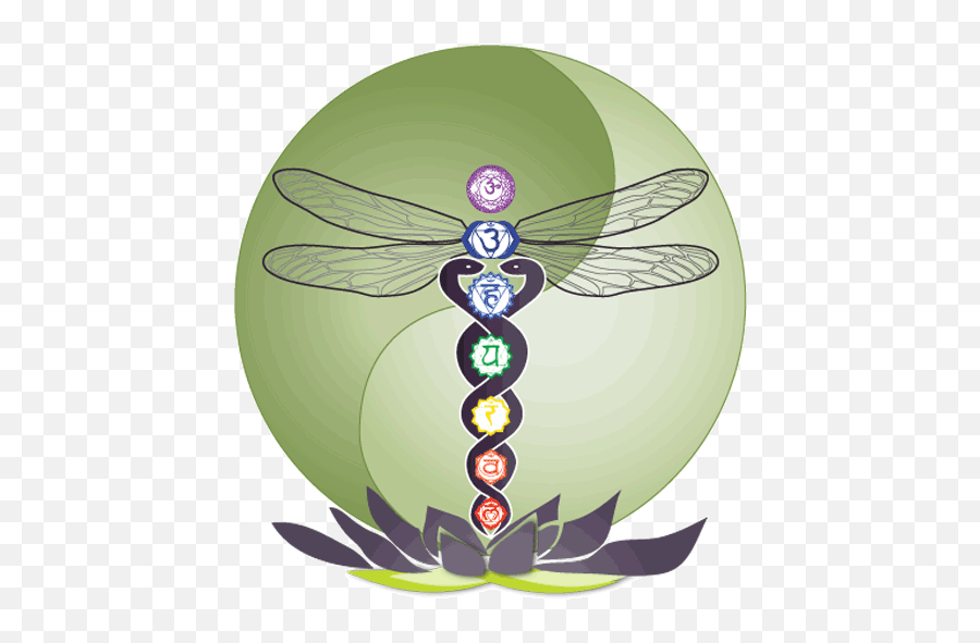 About Our Logo Essential Balance Holistic Wellness Center - Dragonfly Caduceus Png,Dragonfly Icon