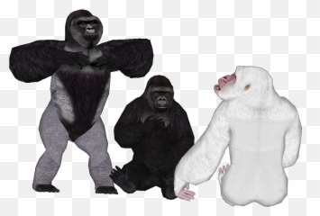 Harambe Snowflake And Now Koko - Png