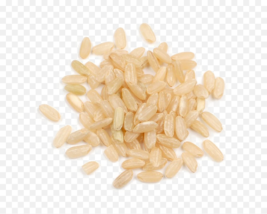 Brown Rice Transparent Background Png Arts - Food,Rice Transparent Background