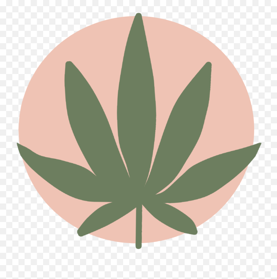 Cannabis U2013 Hayley Mckay - Hemp Png,Marijuana Leaf Icon