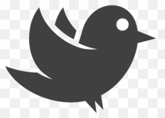 Cupe National Convention 2017 Canadian Union Of Public - Songbirds png