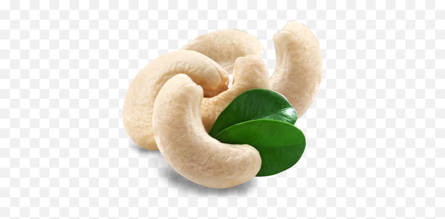 Cashew Nut Png - Cashew Png,Cashew Png