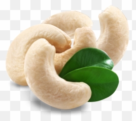 Cashew Nut Png - Cashew Png,Cashew Png
